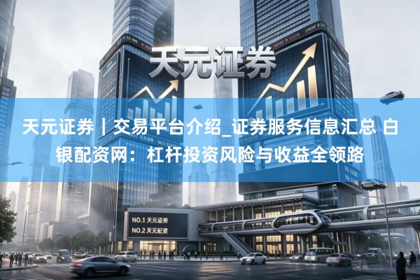天元证券｜交易平台介绍_证券服务信息汇总 白银配资网：杠杆投资风险与收益全领路