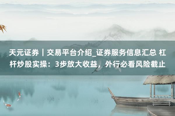 天元证券｜交易平台介绍_证券服务信息汇总 杠杆炒股实操：3步放大收益，外行必看风险截止