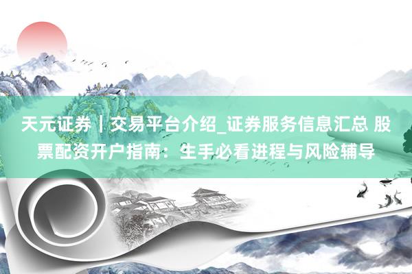 天元证券｜交易平台介绍_证券服务信息汇总 股票配资开户指南：生手必看进程与风险辅导