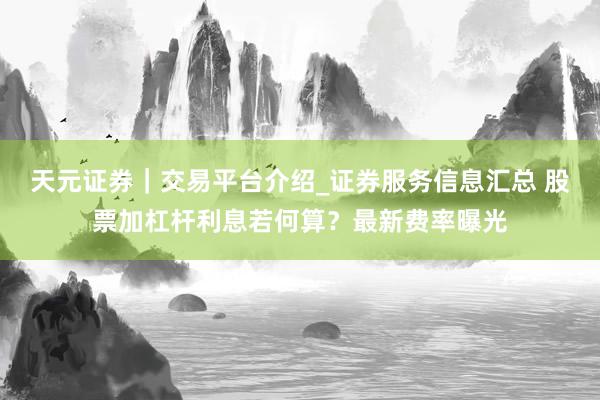 天元证券｜交易平台介绍_证券服务信息汇总 股票加杠杆利息若何算？最新费率曝光